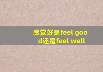 感觉好是feel good还是feel well